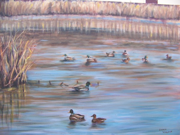 Ducks in the the Swamp