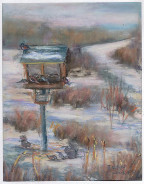 Birds in the swamp