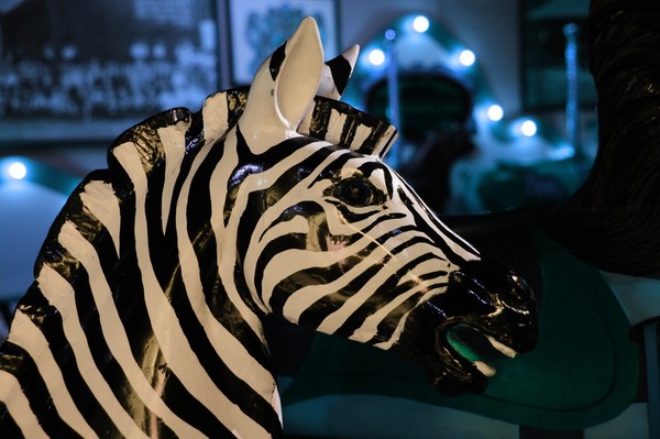 Carousel Zebra
