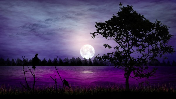 Full Moon