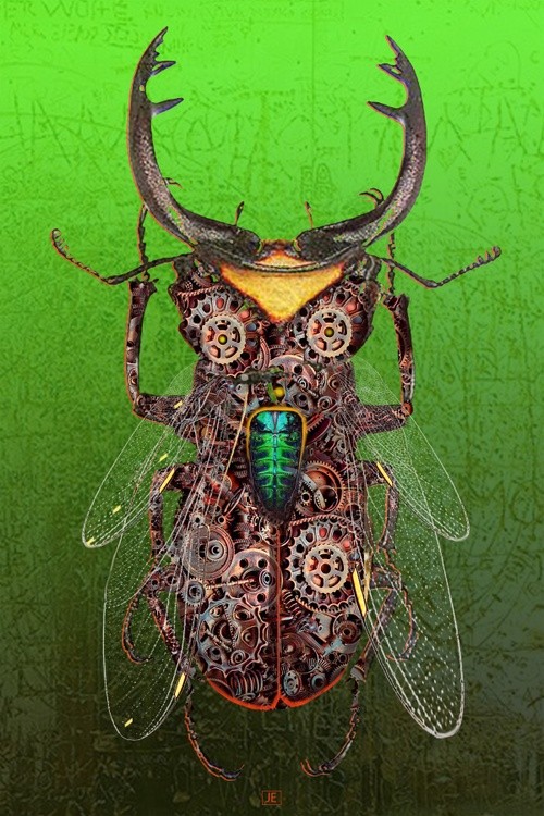 Dont Bug Me