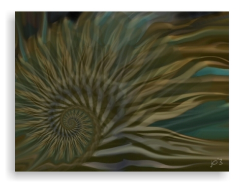 zebrashell