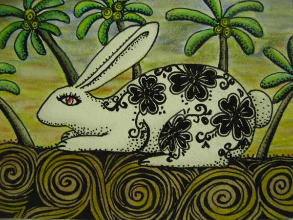 a white rabbit