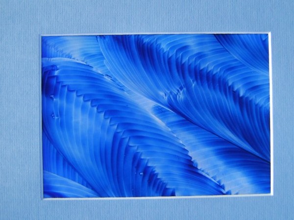 Blue Angel Wings