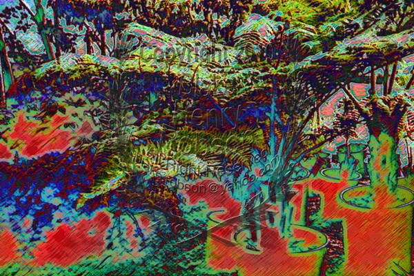 Live Tropical Palms Edit