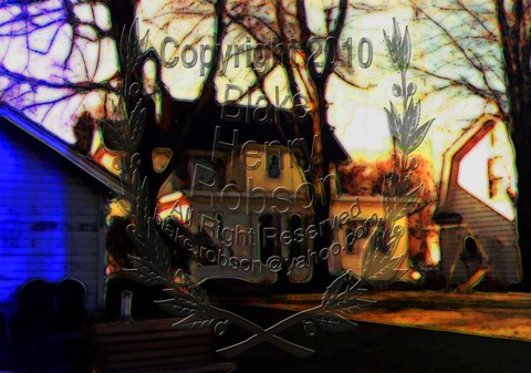 Ohio house swing trees landscape
