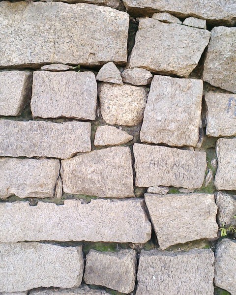 wall