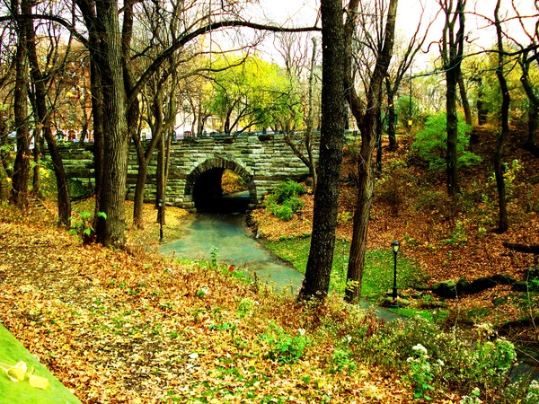 Central Park