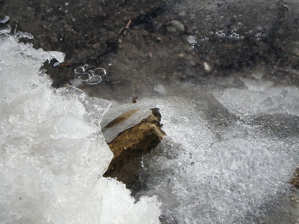ice on river
