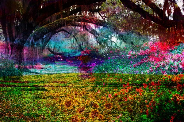 Willow Garden, Impressionism