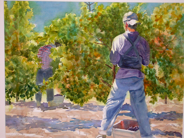 The Harvest
