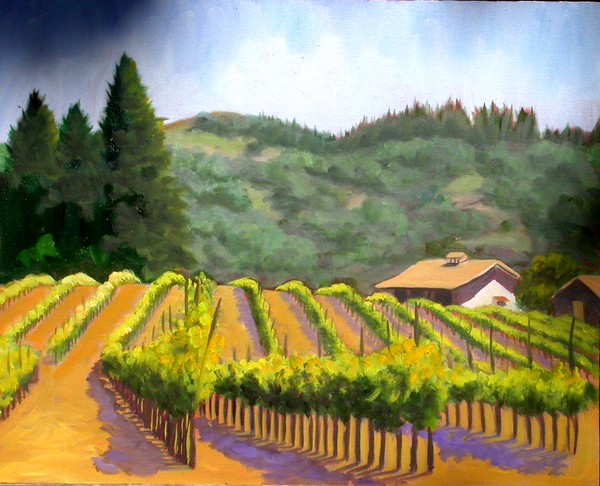 Geyserville Vineyard