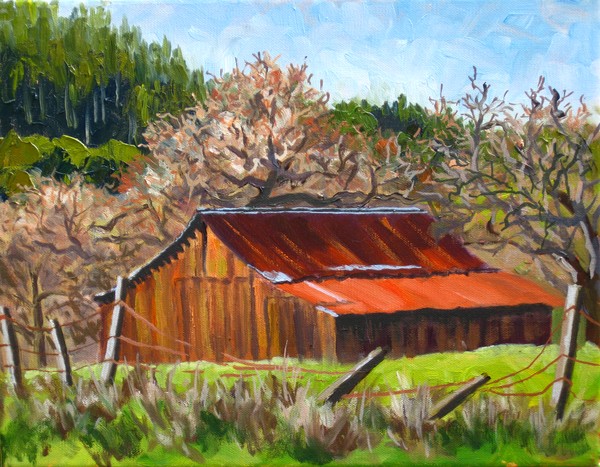 Riebli Barn and Oaks