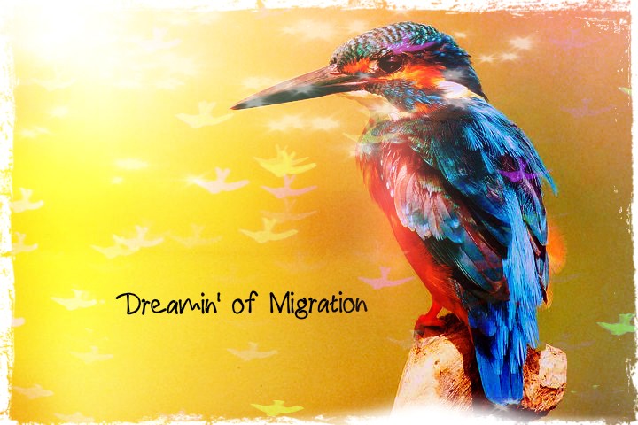 Migration