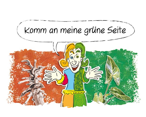 Phrases 35