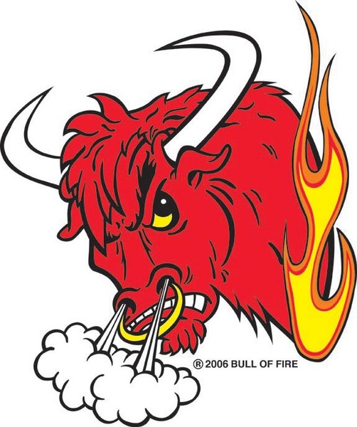 Bull of Fire Logo