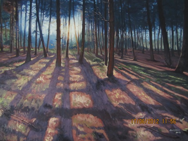 Mystery Forest