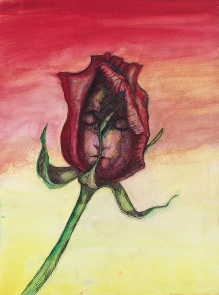 Rose