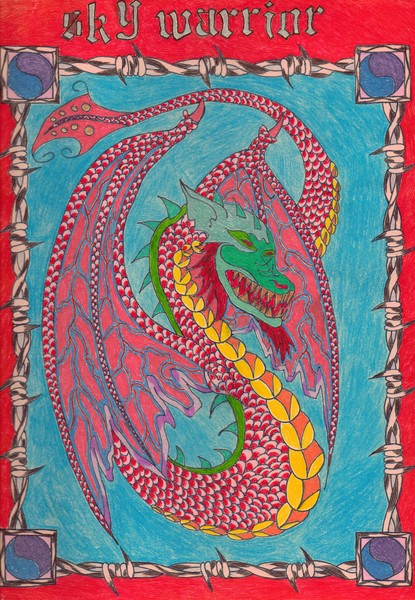 Sky Warrior by The Rooster (c) 2010