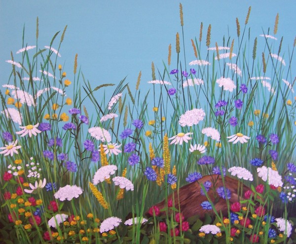 Wild flowers