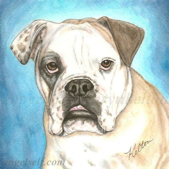 Lola, Pet Portrait