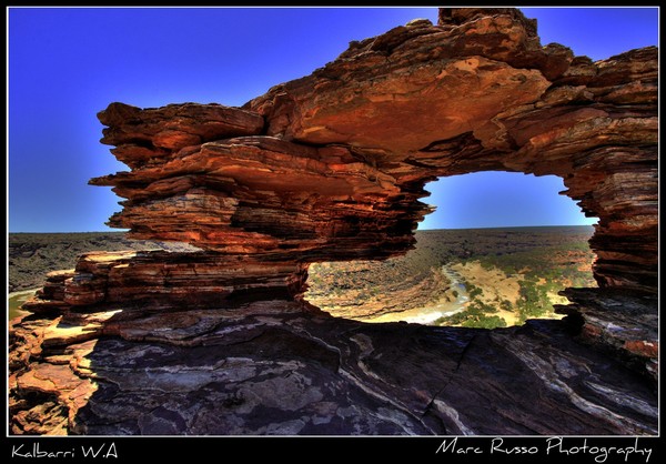 Natures Window