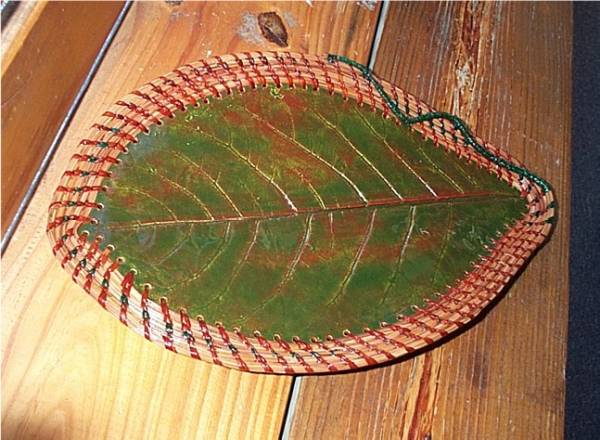 Almond leaf