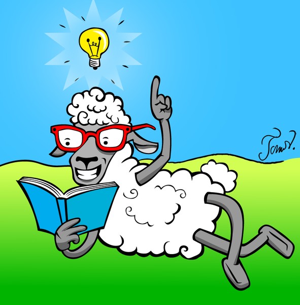 Sheep reading