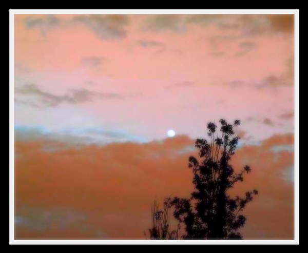 November Sky