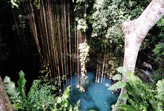 Water Hole