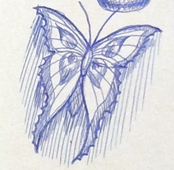 butterfly