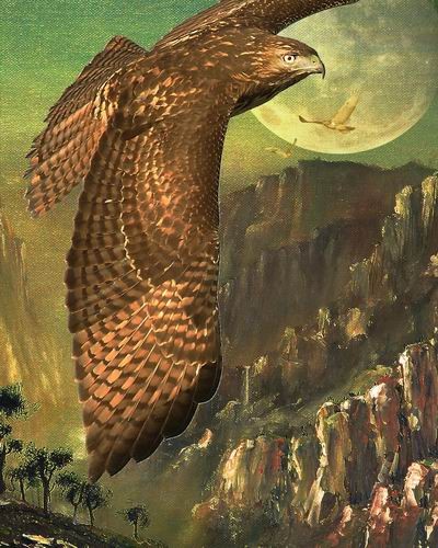 Mountain of The Hawks