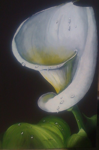 Cala Lilly