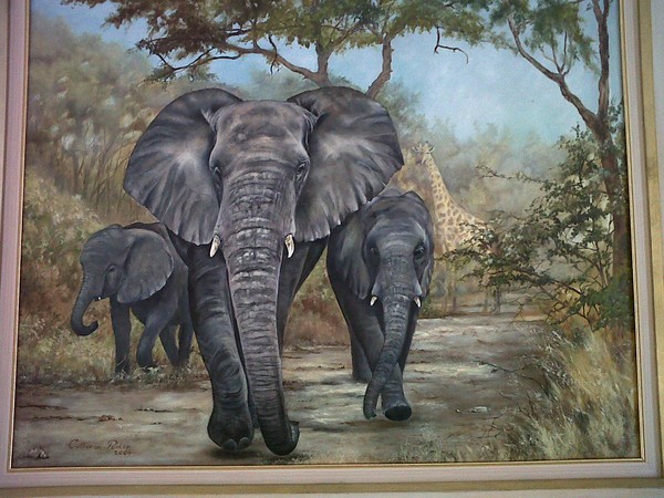 Eliphants