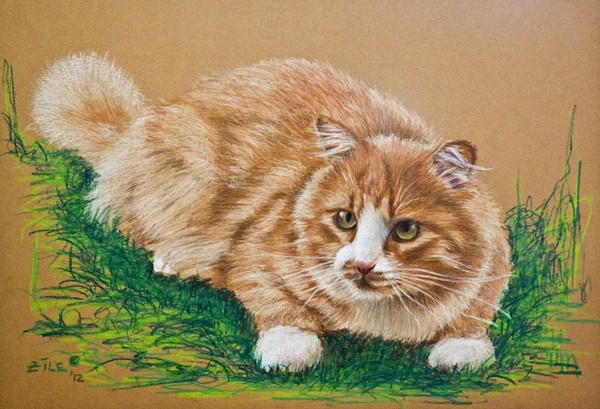 cat character