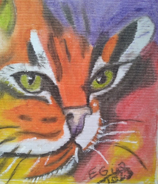 Colorful Tiger Tabby