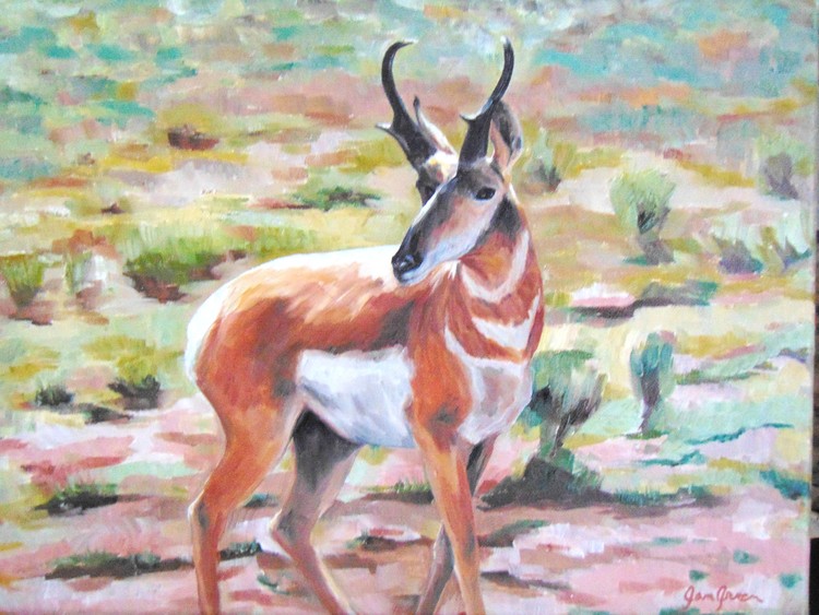 antelope 2