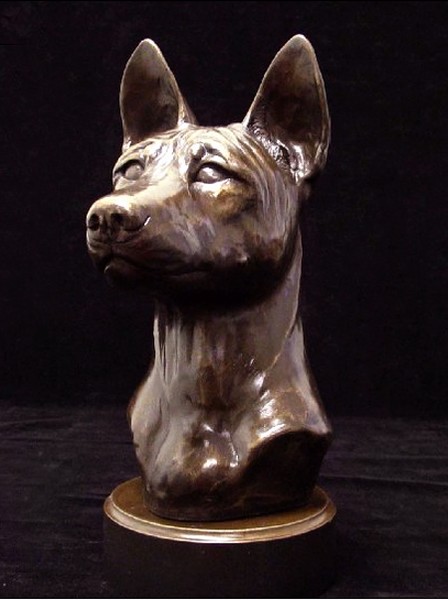 BasenjiBust