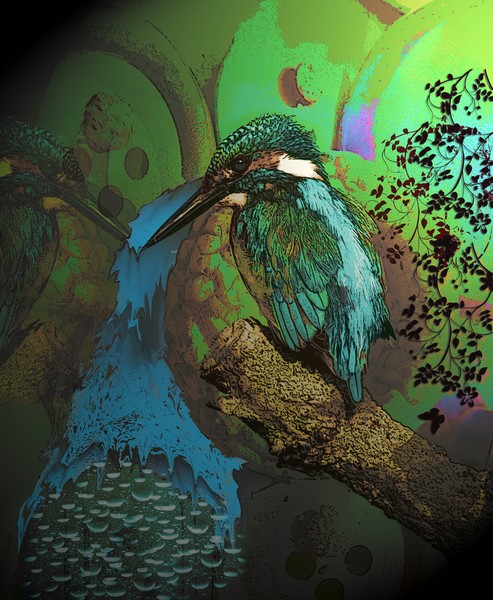 HUMMINGBIRD