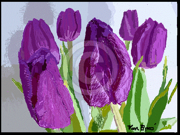 Floradig7