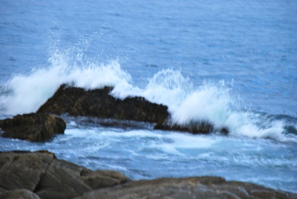 DSC 0051