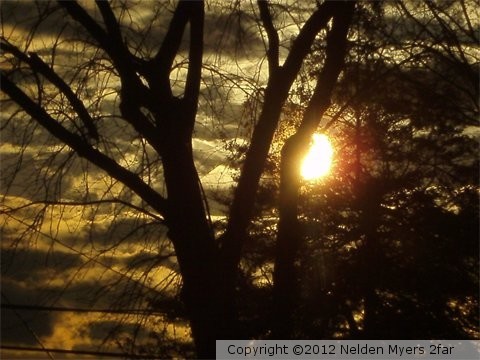 THE DAY GLOW
