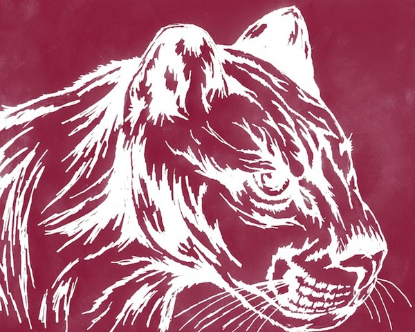 angry cougar in red