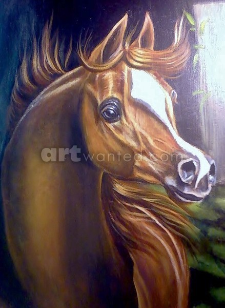 show pony