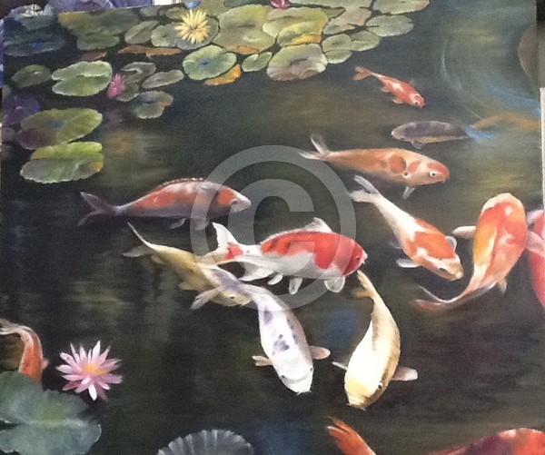 Koi