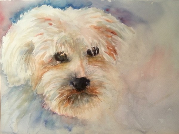 My dog