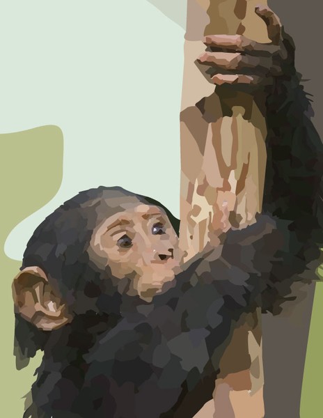 chimp