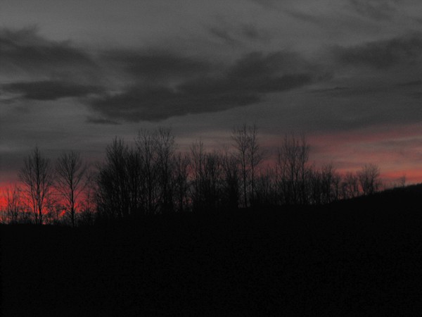 DSCF7502