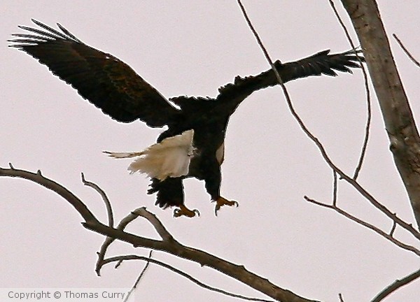 Soft Landing