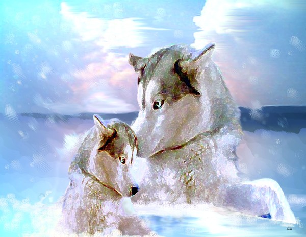 Cold Wind